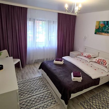 Апартаменти La Fluturi Apartament Сучава Екстер'єр фото