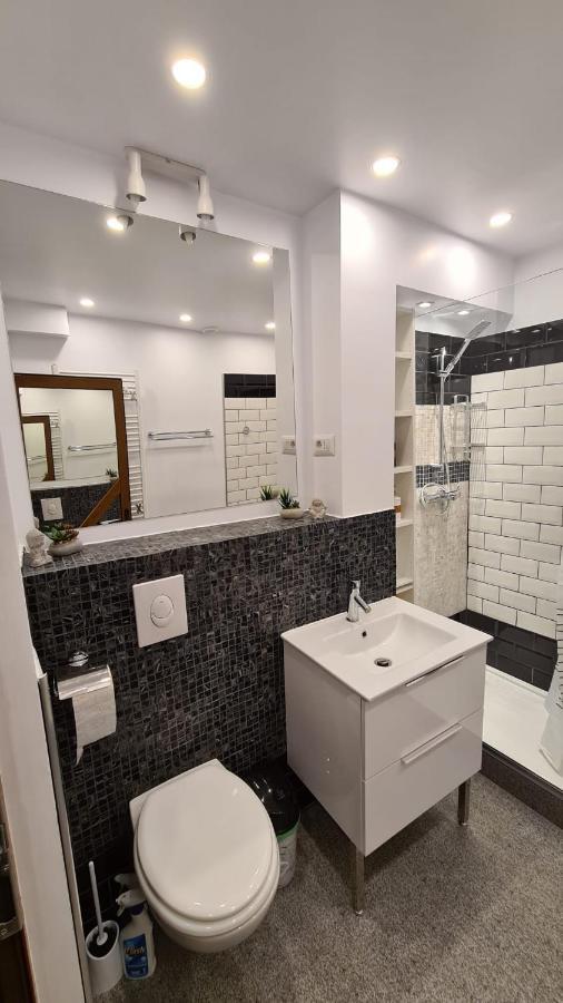 Апартаменти La Fluturi Apartament Сучава Екстер'єр фото